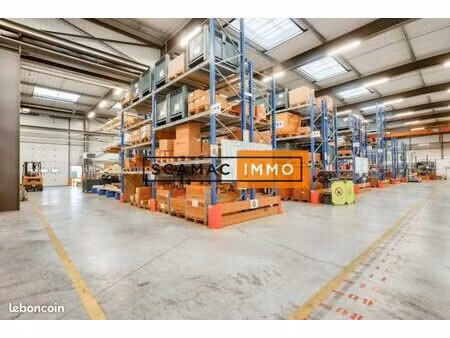 local d'activité 3 300 m²