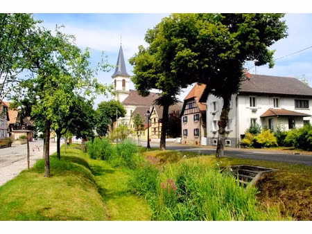 vente terrain 505 m² à hirtzbach (68118)  74 000 €
