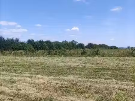 vente terrain 800 m² à morgny-la-pommeraye (76750)  75 000 €