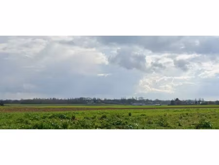 vente terrain 431 m² à annay (62880)  74 900 €