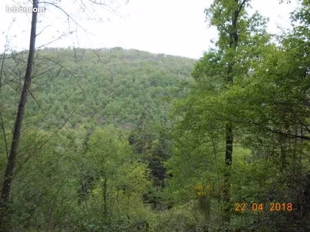 terrain de loisirs
