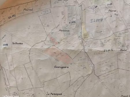 parcelles de bois