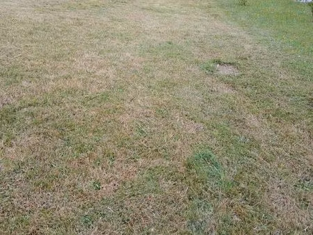 terrain constructible