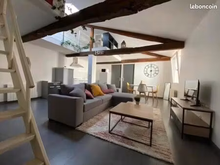 appartement t3 centre albi hyper calme