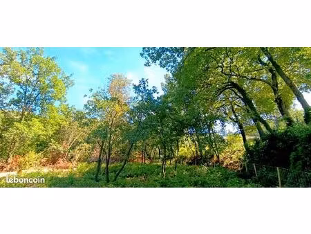 terrain constructible 736 m2 sur piolenc