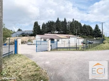 local 392 m² couzeix