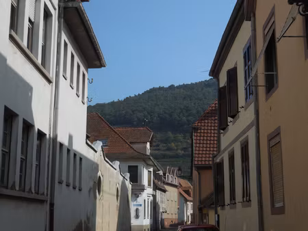 special investisseur  maison de ville et dependance