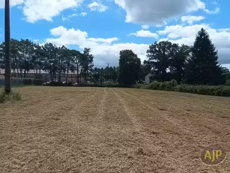 vente terrain 1140 m² à questembert (56230)  83 600 €