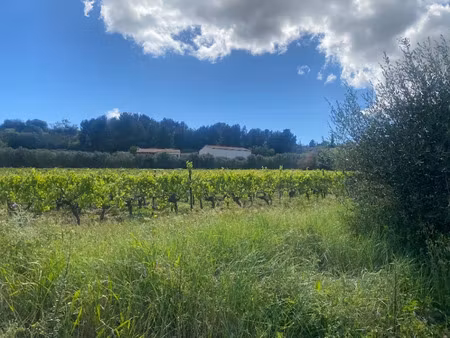 vente terrain 670 m² à ginestas (11120)  85 200 €