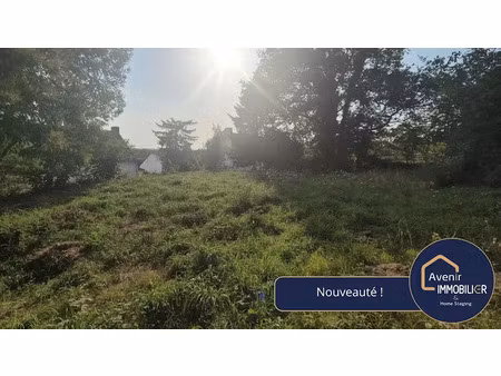 vente terrain à batir 518 m² à savenay (44260)  87 500 €