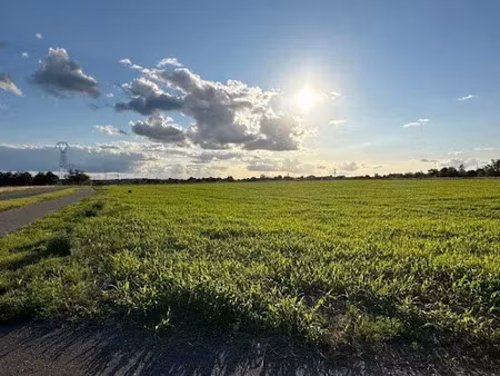vente terrain 550 m² à azay-sur-cher (37270)  96 000 €