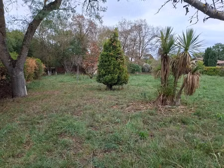 vente terrain 500 m² à la salvetat-saint-gilles (31880)  132 000 €