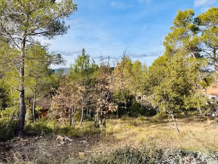 vente terrain 964 m² à rocbaron (83136)  154 000 €