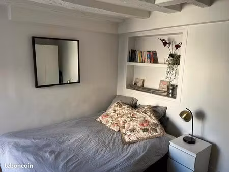 grand studio de charme paris 5eme meublé