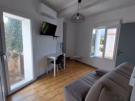 beau t1 bis meublé rénové avec terrasse