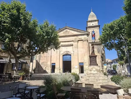 vente locaux professionnels 2 pièces à fontvieille (13990)  47 300 €