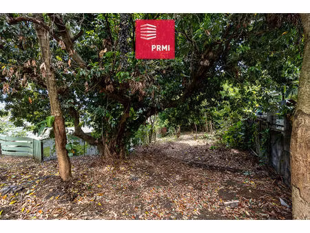 terrain à vendre à piton saint-leu : proche église  229 m² constructible