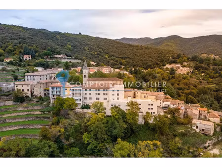vente locaux professionnels 0 pièces 310 m² à val-d'aigoual (30570)  255 000 €