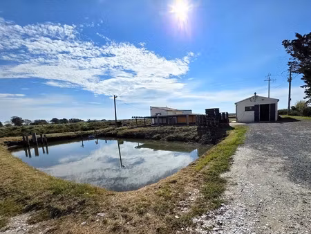 vente locaux professionnels 6 pièces 75 m² à dolus-d'oléron (17550)  385 000 €