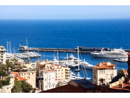 sublime trois pièces vue monaco