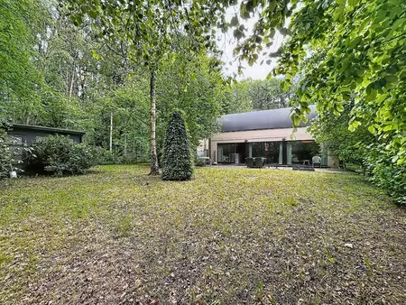 vakantiewoning nabij het drongengoedbos in ursel