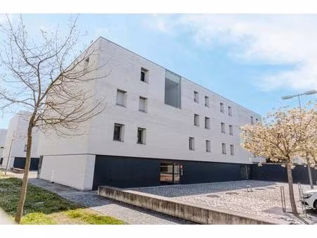 t3 entièrement rénové  terrasse plein sud et garage