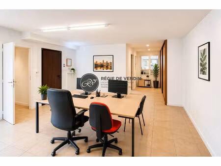 immobilier professionnel à vendre lyon