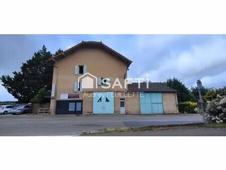 grande maison avec potentiel locatif exceptionnel – iguerande (71)
