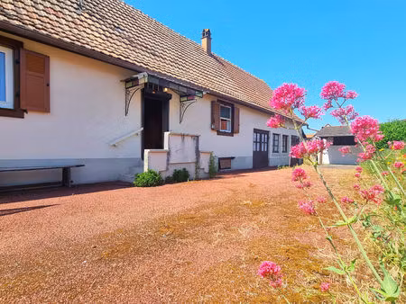 maison individuelle hilsenheim 3 pièces 61 m2 sur un terrain de 14 69 ares constructibles