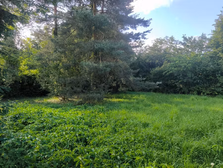 terrain