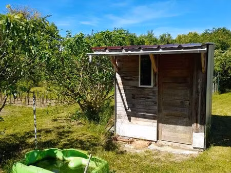 jardin à vendre