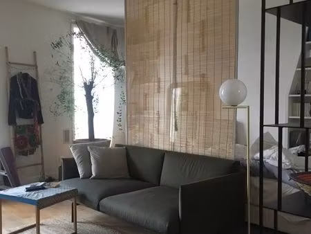 petit loft paris 18 lumineux