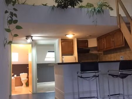 location appartement f2 centre saint-dié