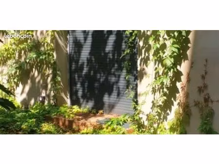 studio 1 pièce 19 m²