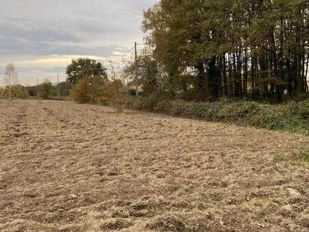 vente terrain à rezé (44400) : à vendre / 305m² rezé