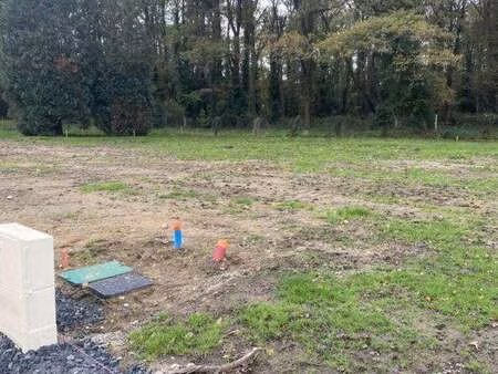 vente terrain à vertou (44120) : à vendre / 305m² vertou