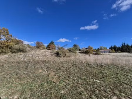 terrain