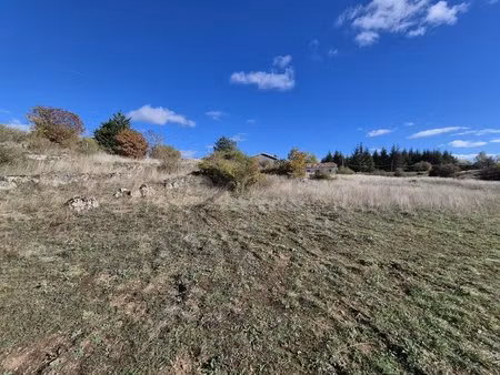 terrain