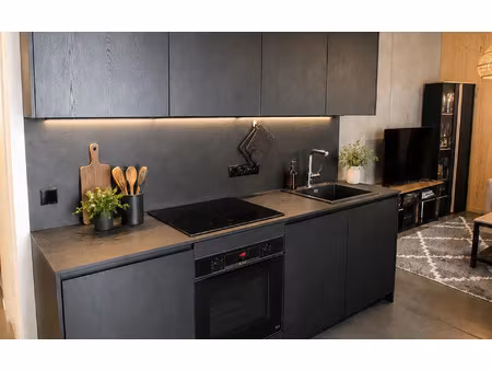 location appartement  m² t-2 à ambilly  1 010 €