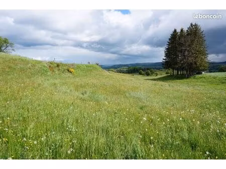 recherche terrain à acheter
