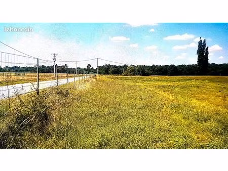 prairie de qualité 13 ha à louer au nord de la gironde (33)