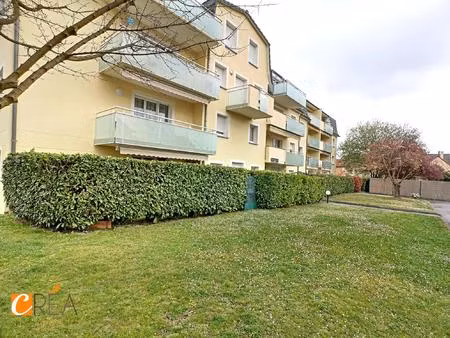 appartement à louer mulhouse