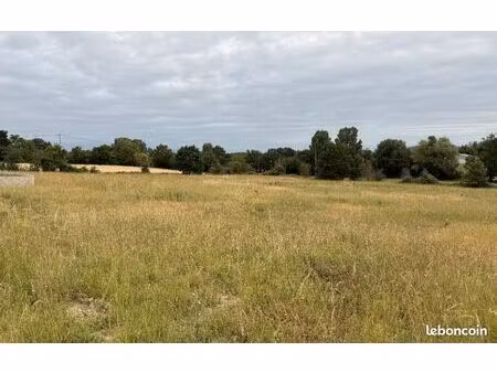 terrain 984 m² blan