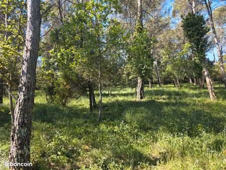 terrain 847 m² gareoult