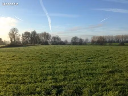 terrain 990 m² phalempin