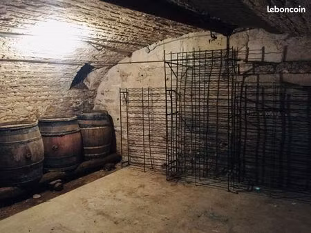 cave 26 m2 - vieux fontaine