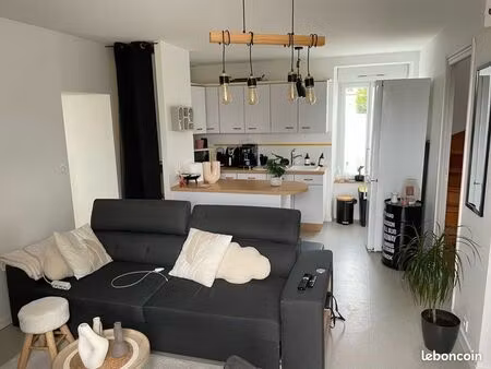 appartement 55m2