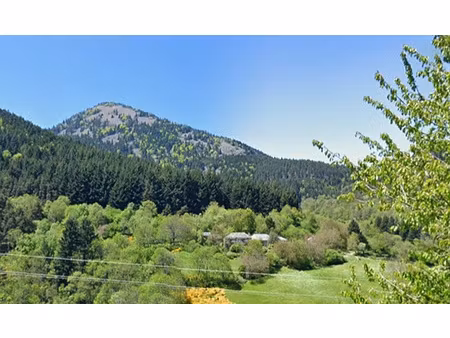 proche plateau ardèchois : maison typique à rénover + 4900 m