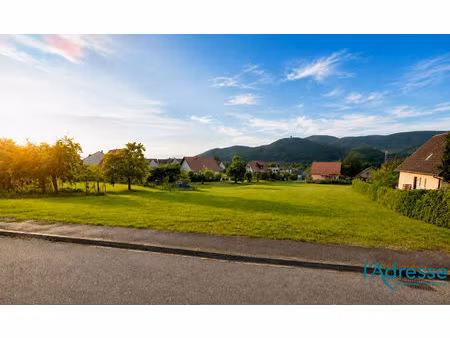 terrain zimmerbach 3334 m2
