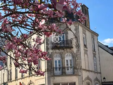 vente appartement 2 pièces à vannes centre ville (56000) : à vendre 2 pièces / 52m² vannes